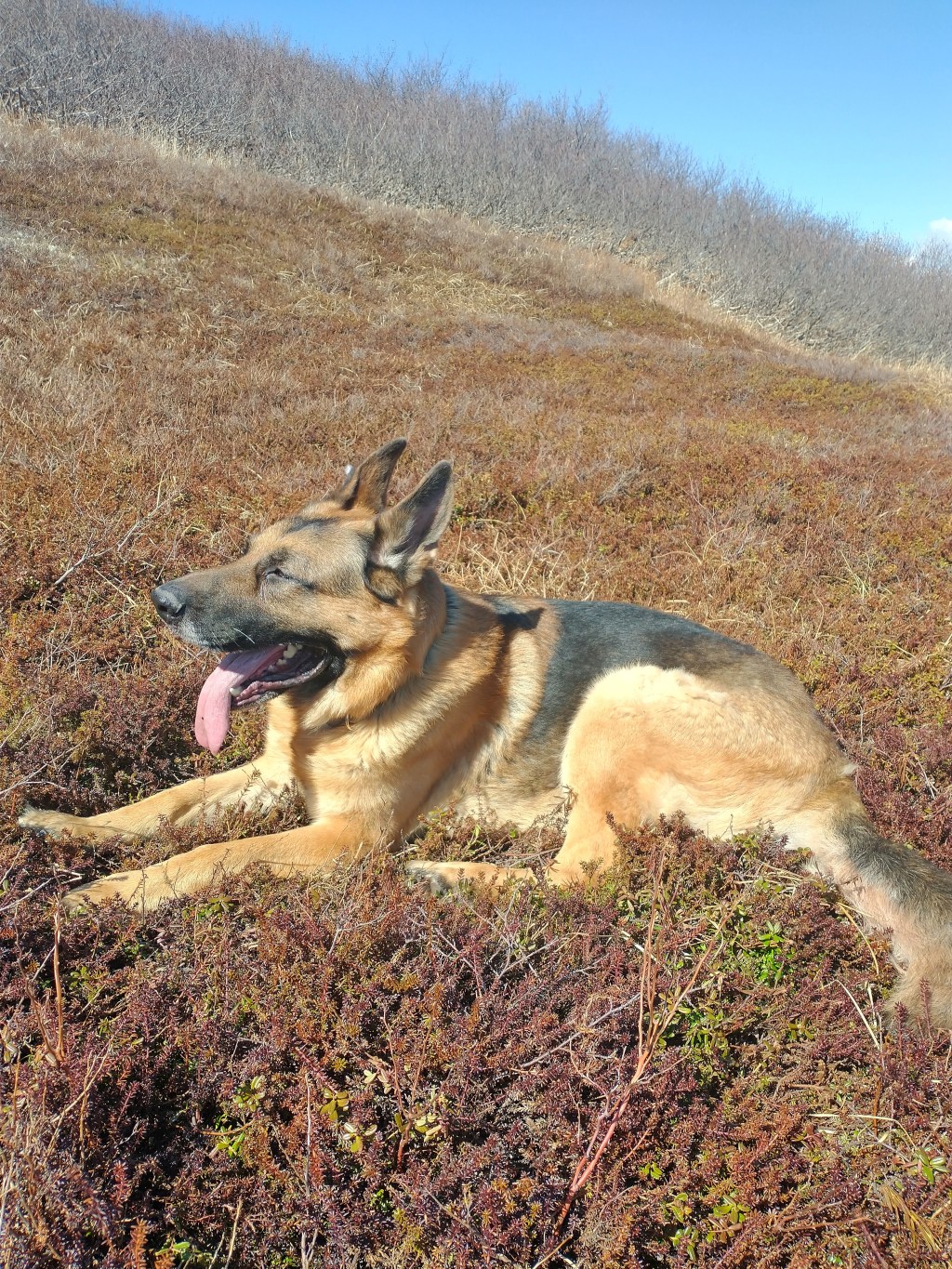 The Kaleidoscope Family- Episode&nbsp;Three